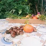 Kır Evi Rural House Tenerife Relax And Enjoy *