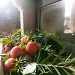 Kır Evi Rural House Tenerife Relax And Enjoy *