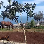 Kır Evi Rural House Tenerife Relax And Enjoy *