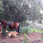 Rural House Tenerife Relax And Enjoy Kır Evi *