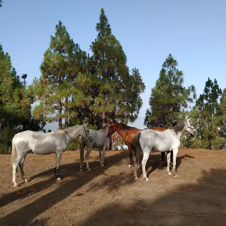 Rural House Tenerife Relax And Enjoy *