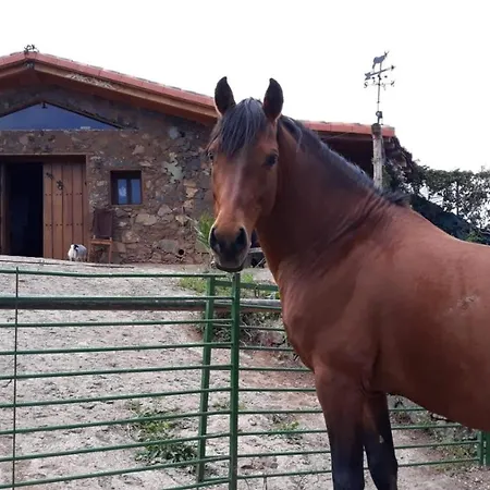 Rural House Tenerife Relax And Enjoy Country house *