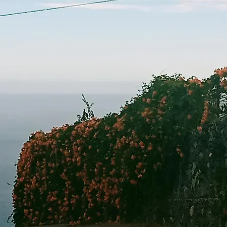Venkovský dům Rural House Tenerife Relax And Enjoy Santa Úrsula