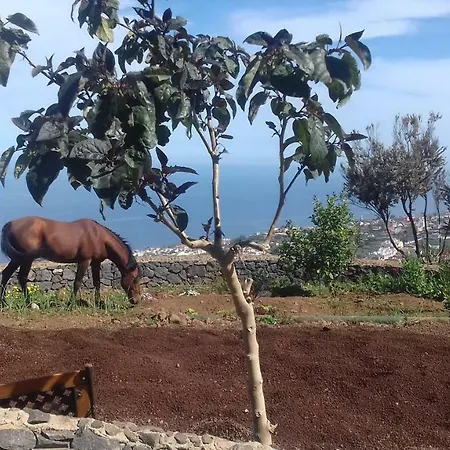 Rural House Tenerife Relax And Enjoy Santa Ursula (Tenerife)