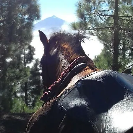 Rural House Tenerife Relax And Enjoy Santa Ursula (Tenerife)