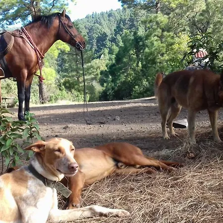 Venkovský dům Rural House Tenerife Relax And Enjoy Santa Úrsula